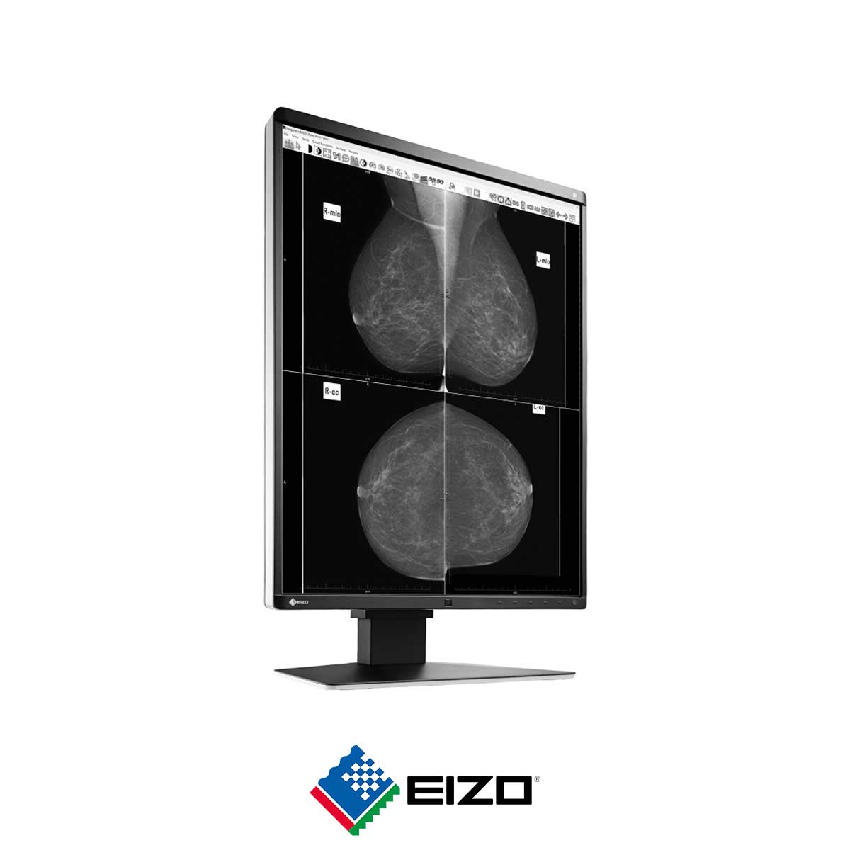 90.EIZO-RadiForce-GX560
